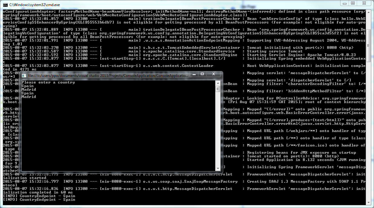 .NET Console Application consuming Java API